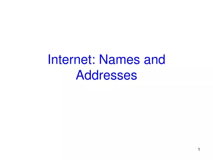 internet names and addresses n.