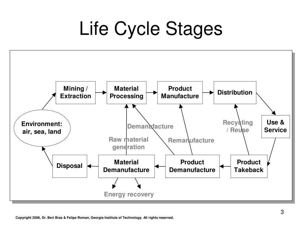 Analysis Of The Final Stage Of Life
