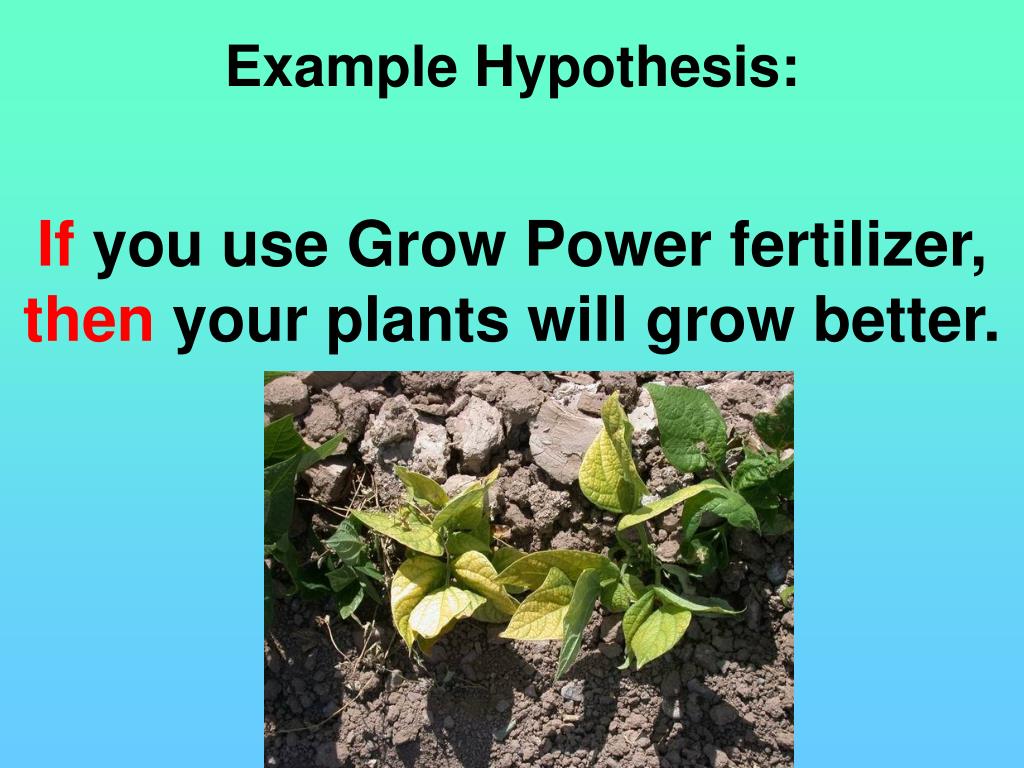 growth hypothesis examples