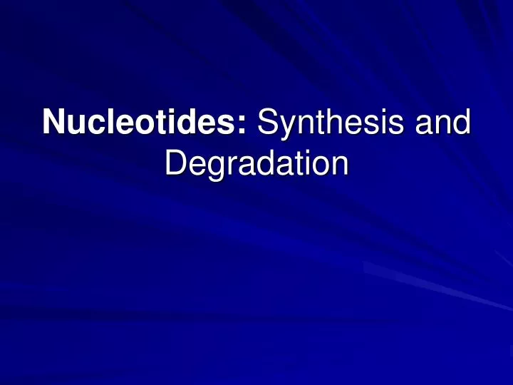 nucleotides synthesis and degradation n.