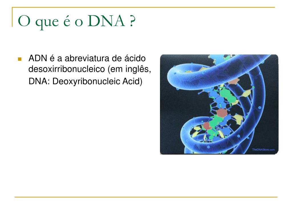 PPT - O DNA como material genético, replicação, transcrição e tradução ...