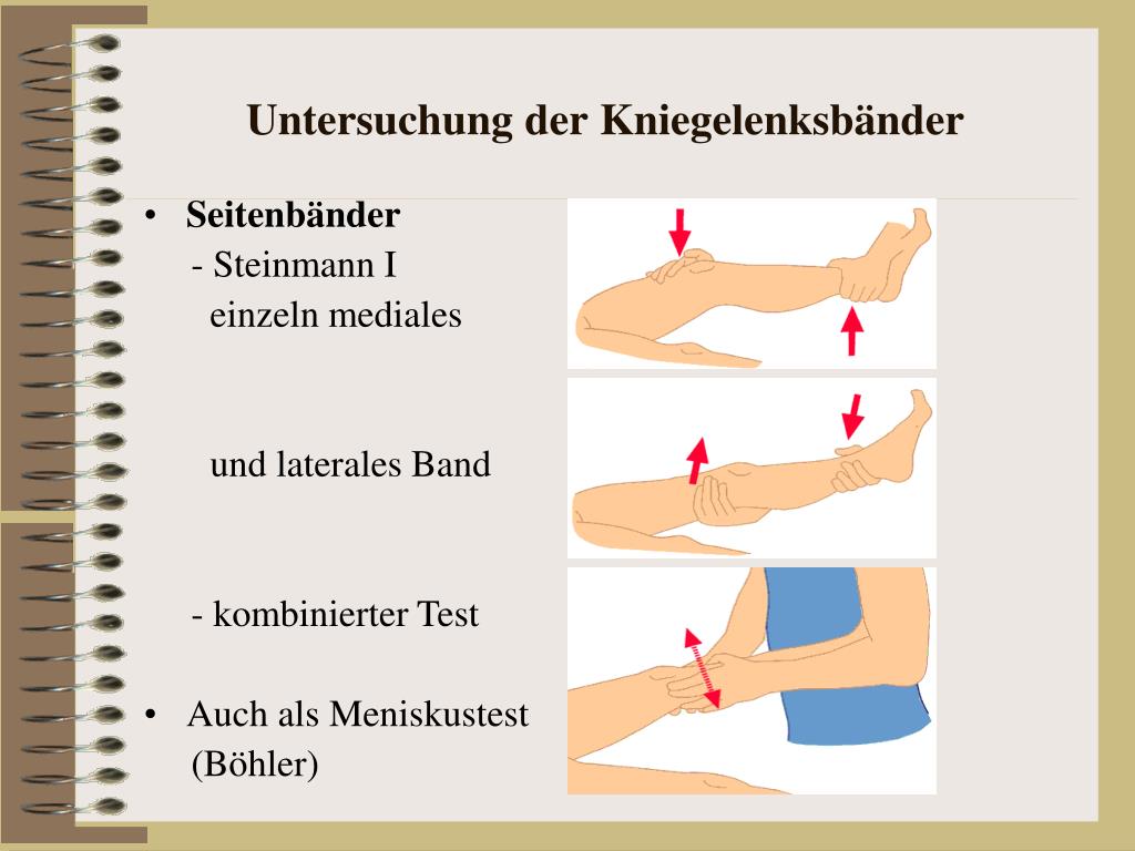 PPT Untersuchung des Bewegungsapparates Zusammenfassung Hufelandschule Senden PowerPoint