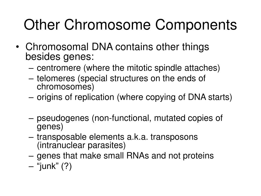 Ppt History Of Genetics Powerpoint Presentation Free Download Id