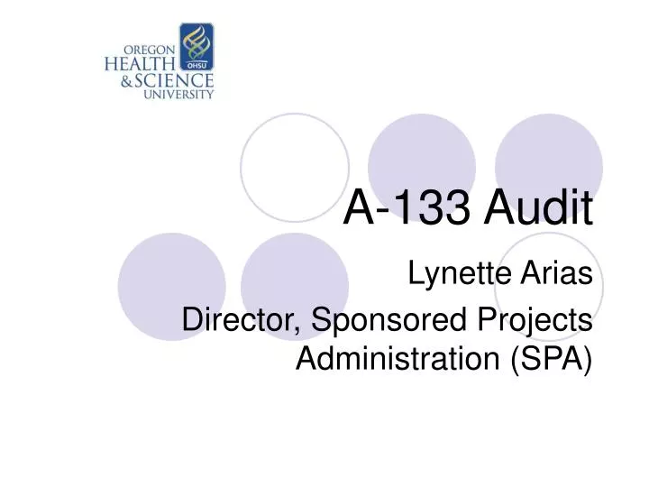 a 133 audit n.