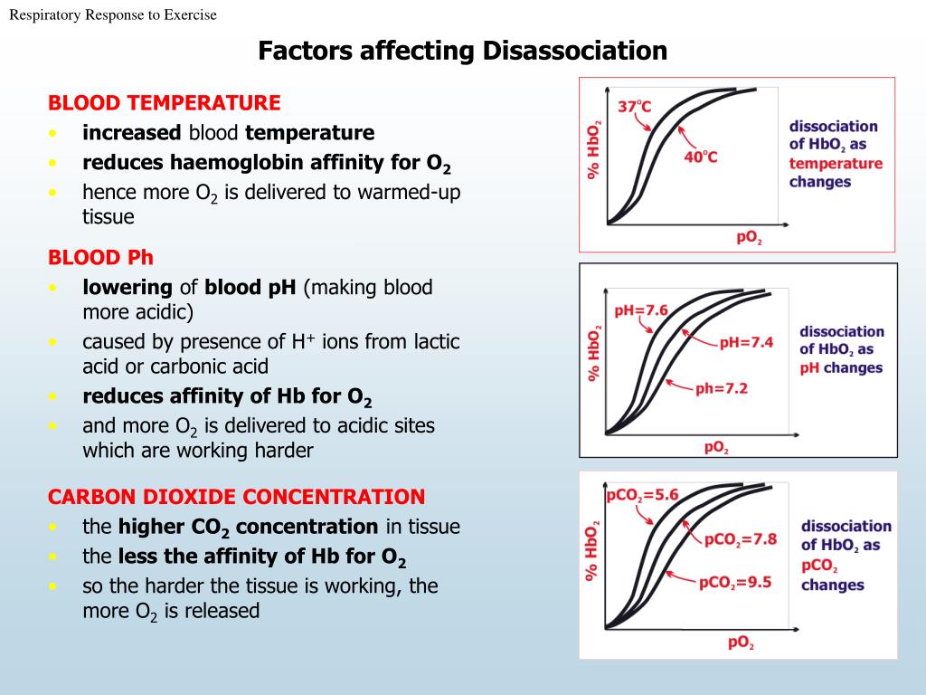 low carbon dioxide in blood low carbon dioxide in blood