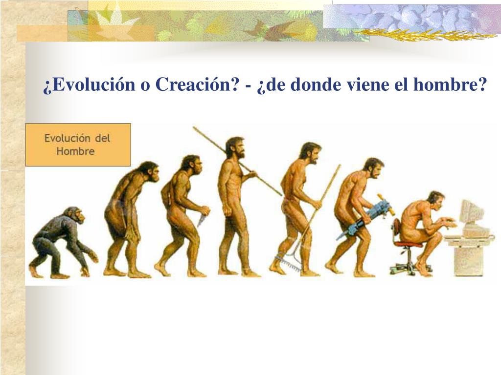 Примеры современных людей. Эволюция человека. Человек как продукт биологической эволюции. Эволюция человека от обезьяны. Эволюция от обезьяны до человека.