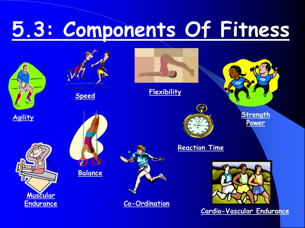 PPT - 5.3: Components Of Fitness PowerPoint Presentation, free download -  ID:227147
