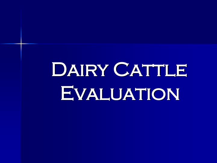 dairy cattle evaluation n.