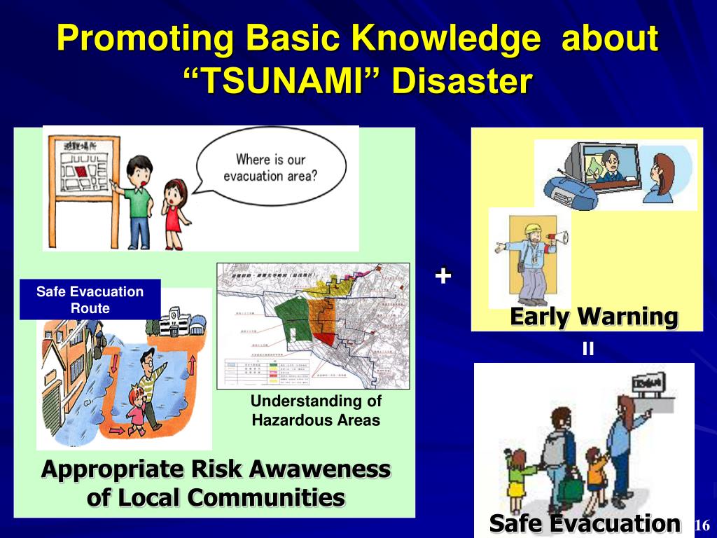 case study on disaster management in japan