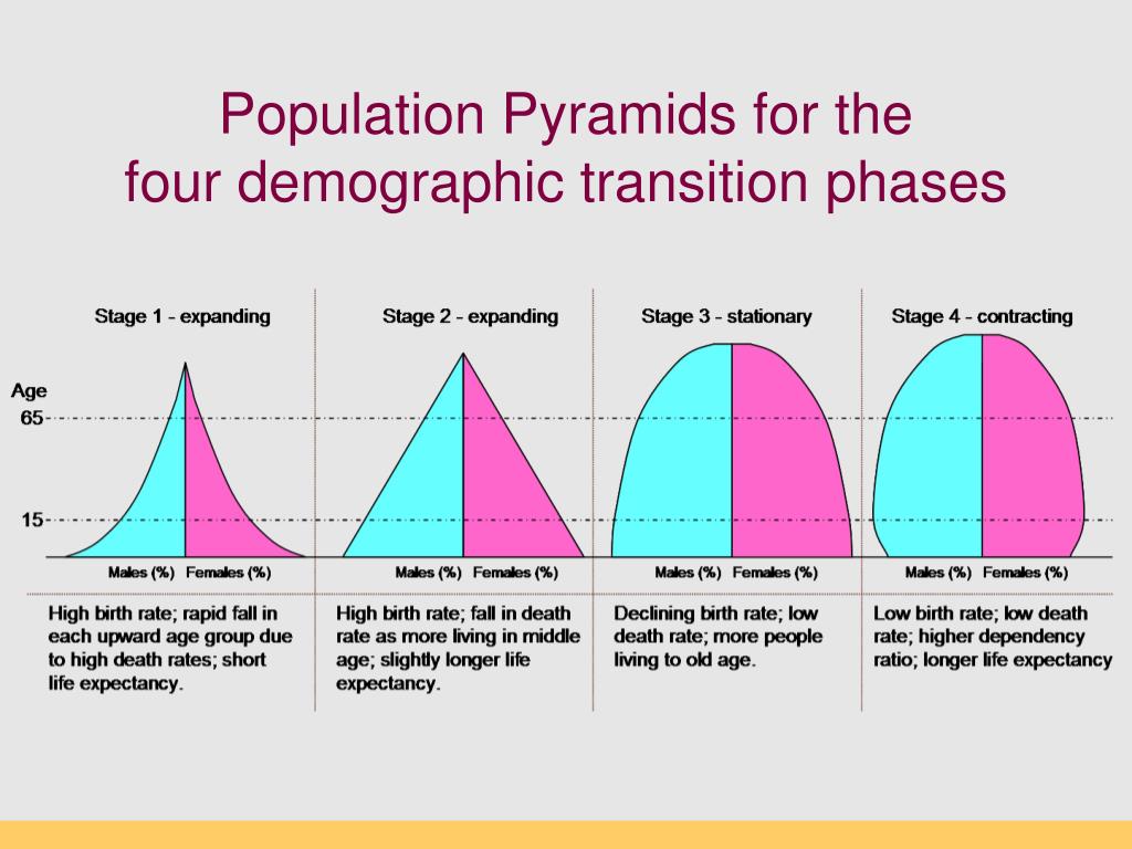 essay of demographic cycle