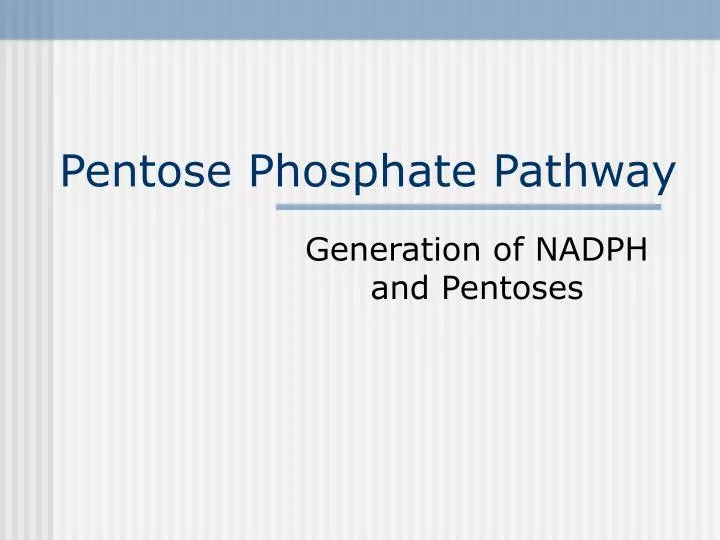 pentose phosphate pathway n.