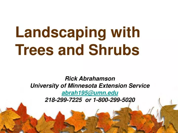 landscaping with trees and shrubs n.