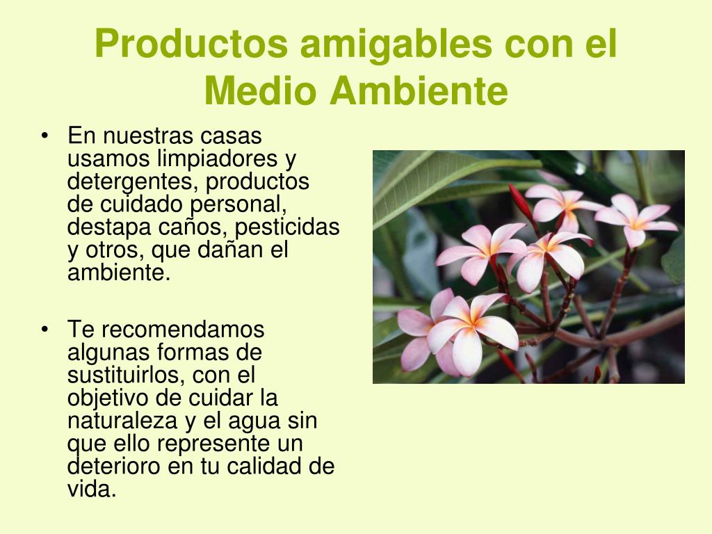 PPT - Productos amigables con el Medio Ambiente PowerPoint Presentation -  ID:231666