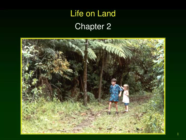 life on land ppt presentation