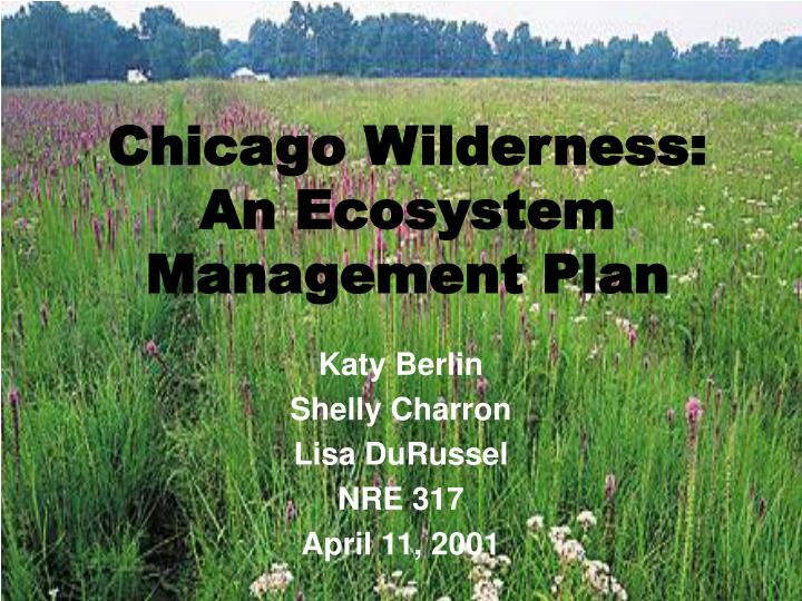 PPT Chicago Wilderness An Ecosystem Management Plan PowerPoint