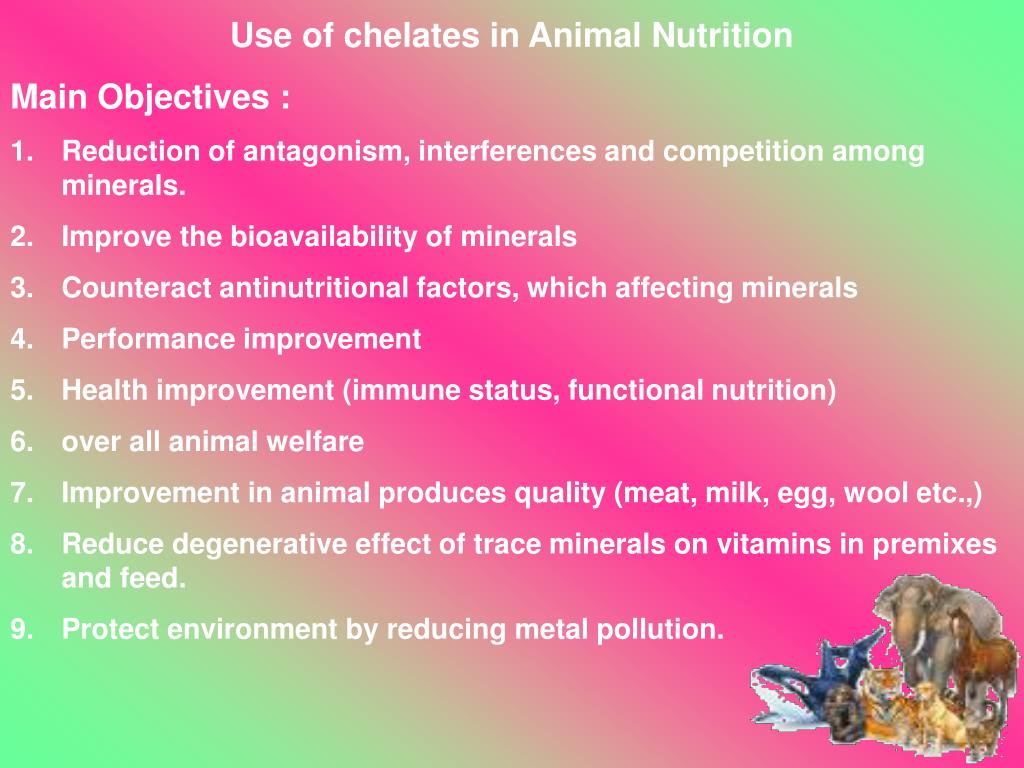 PPT - CHELATED MINERALS IN ANIMAL NUTRITION PowerPoint Presentation, free  download - ID:233822