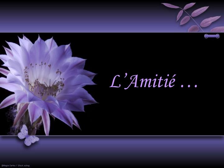 Ppt L Amitie Powerpoint Presentation Free Download Id Ppt L Amitie Powerpoint Presentation Free Download Id