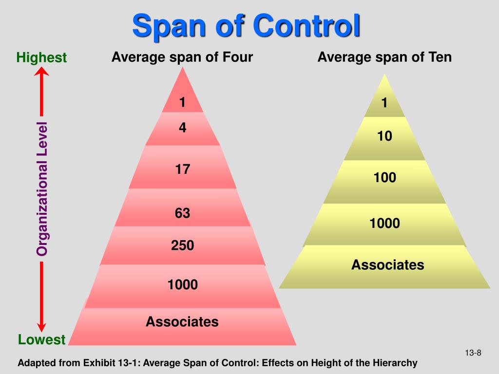 Span Of Control In Management 2 Types Of Span Of Control NFOF