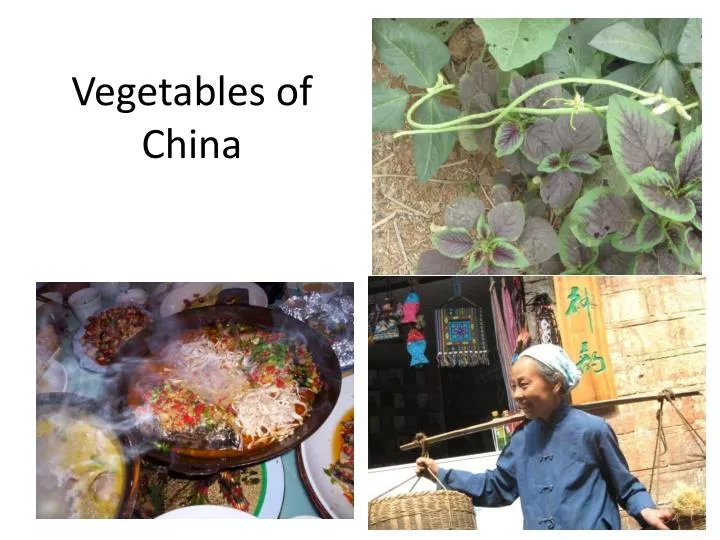 vegetables of china n.