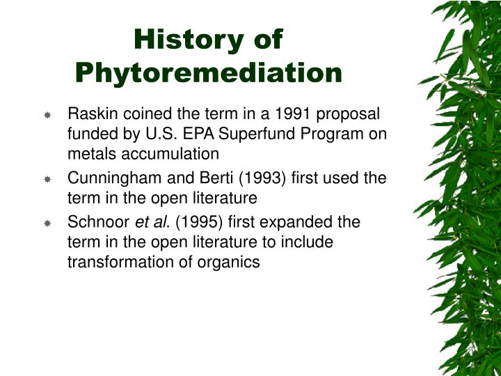 PPT - Phytoremediation: What Every Good Chemical Engineer Should Know  PowerPoint Presentation - ID:234938