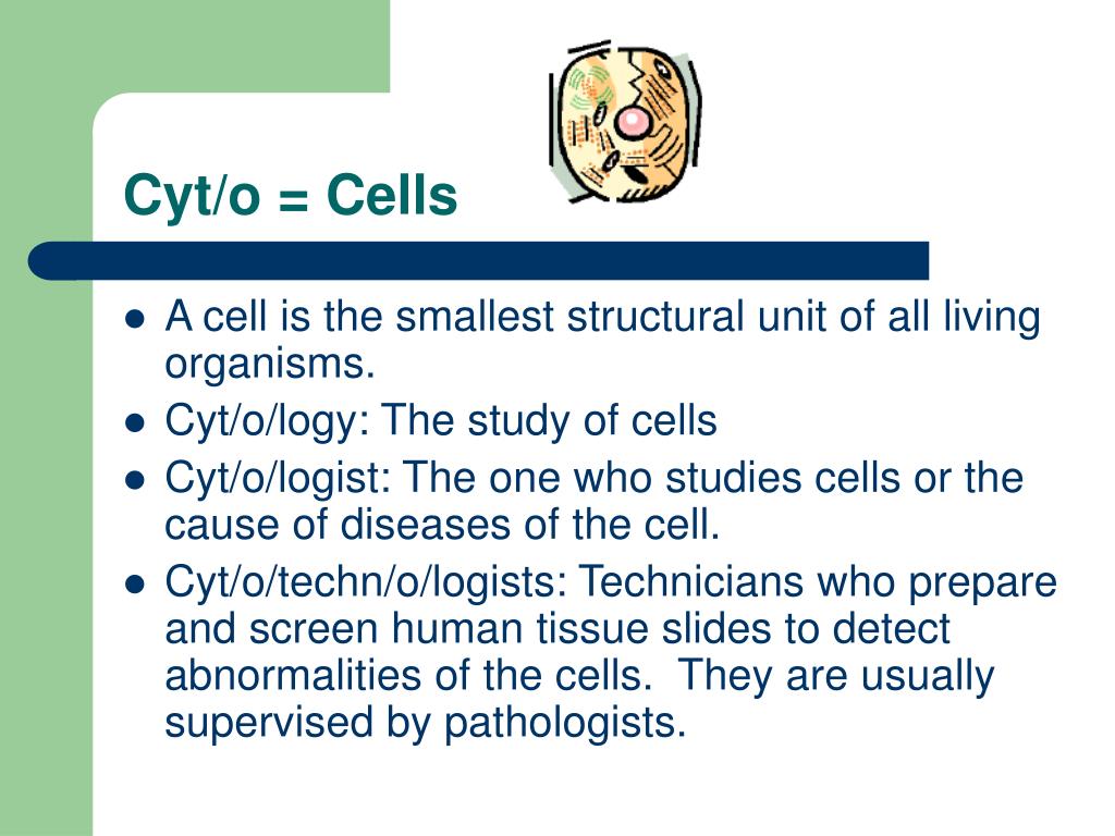 PPT  Medical Terminology PowerPoint Presentation, free download  ID