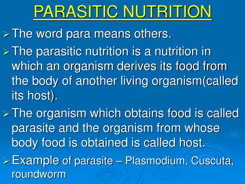 PPT - NUTRITION AND RESPIRATION PowerPoint Presentation ...