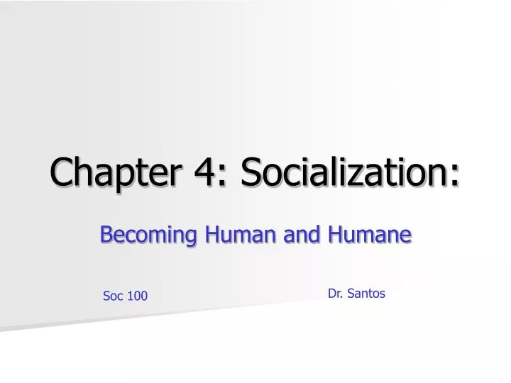 chapter 4 socialization n.
