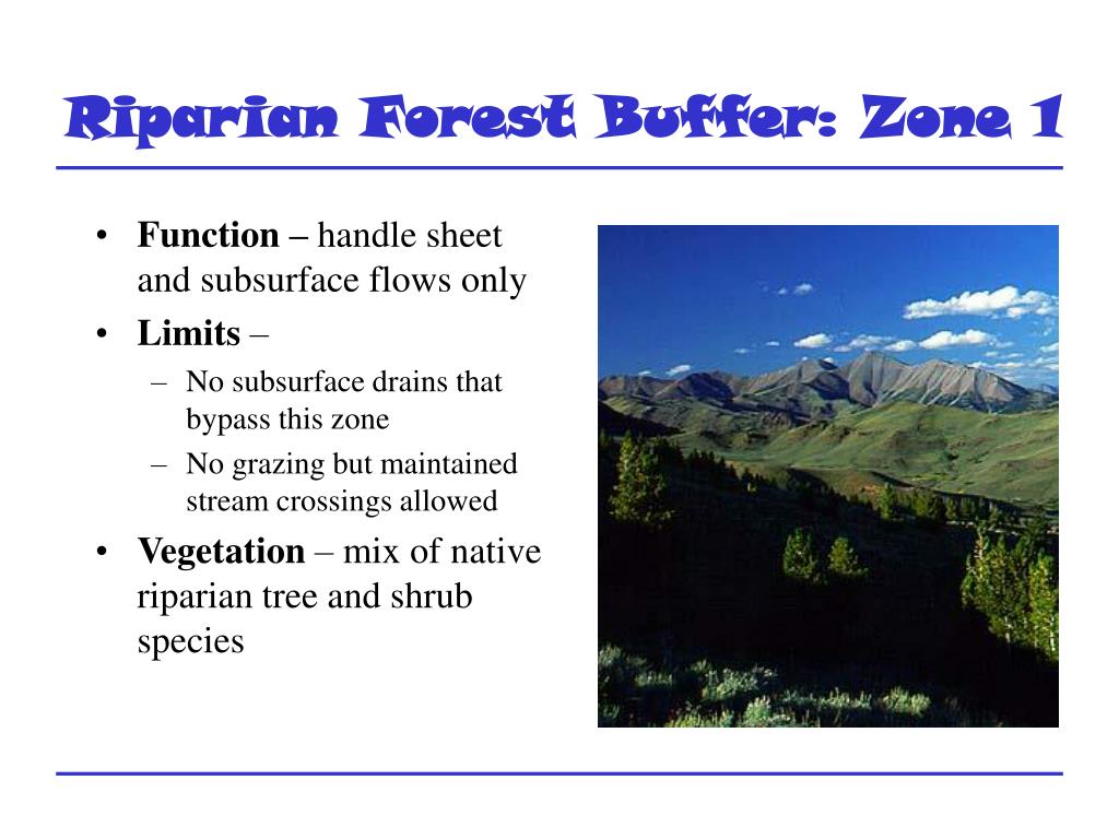 PPT Riparian Forest Buffers PowerPoint Presentation, free download