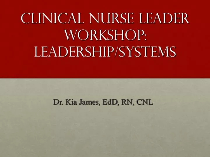 clinical nurse leader workshop leadership systems n.