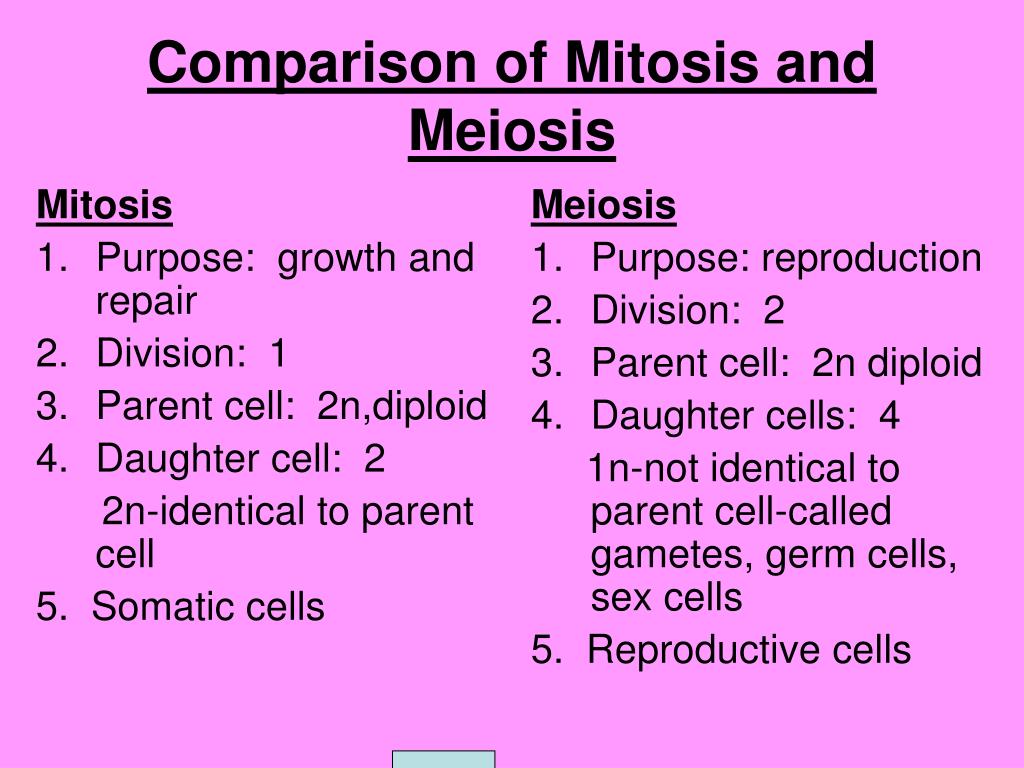 Difference Between Meiosis And Mitosis Chart