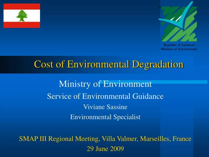 cost of environmental degradation n.