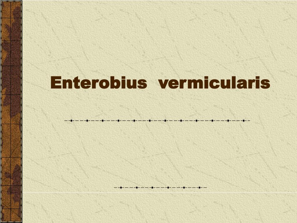 enterobius vermicularis ppt