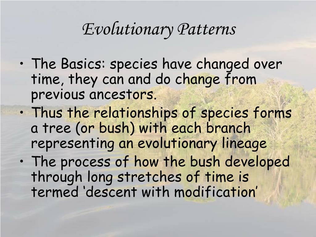 PPT - Evolutionary Patterns PowerPoint Presentation, Free Download - ID ...