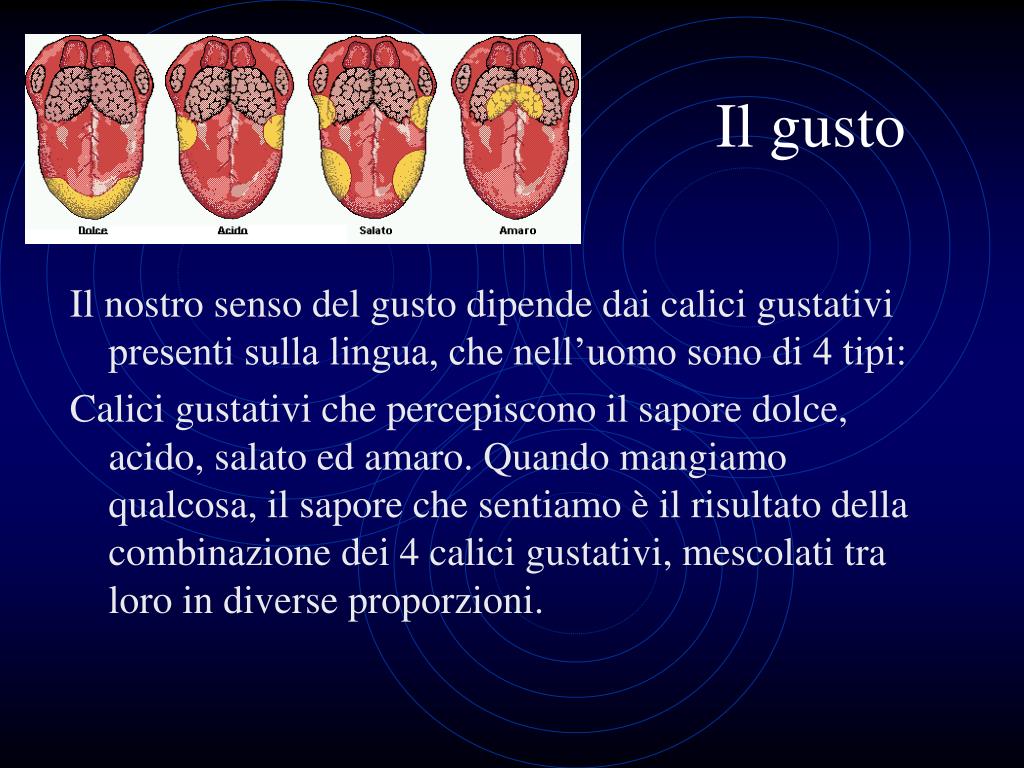 PPT Gli organi di Senso PowerPoint Presentation ID238995
