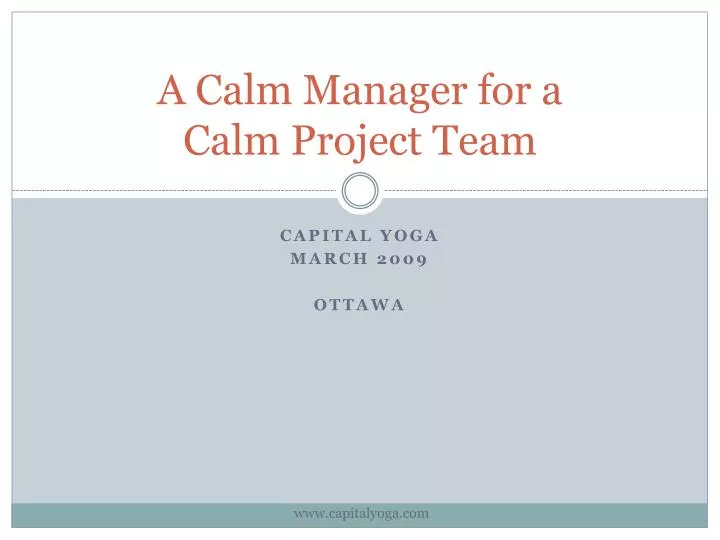 a calm manager for a calm project team n.