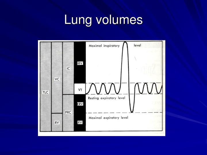 PPT - Pulmonary Physiology and Lung Function Tests PowerPoint ...