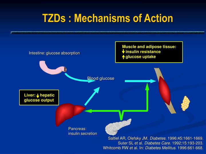 ppt-nonglycemic-effects-of-thiazolidinediones-powerpoint-presentation