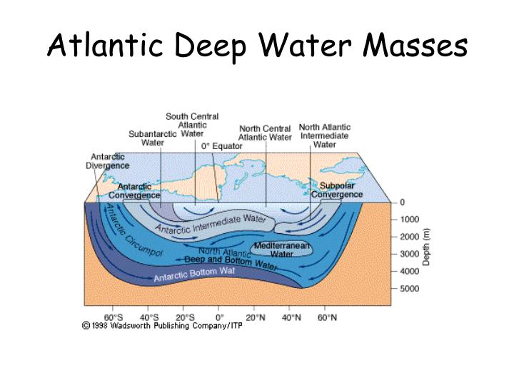 PPT Ocean Circulation Deep Thermohaline currents PowerPoint
