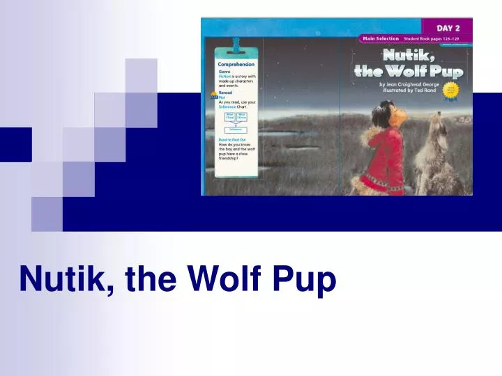 nutik the wolf pup n.