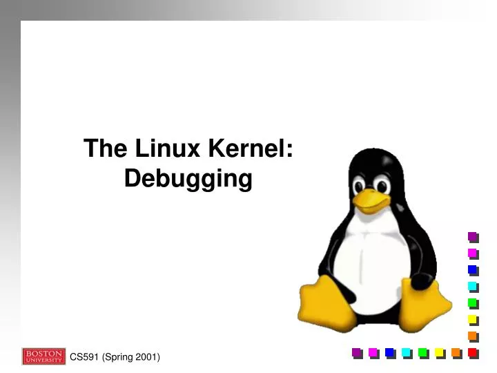 the linux kernel debugging n.