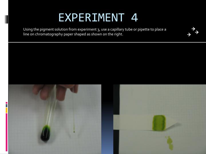 experiment no 4 paper chromatography experiment no 4 paper chromatography