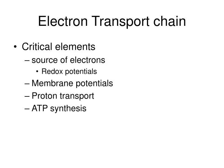 electron transport chain n.