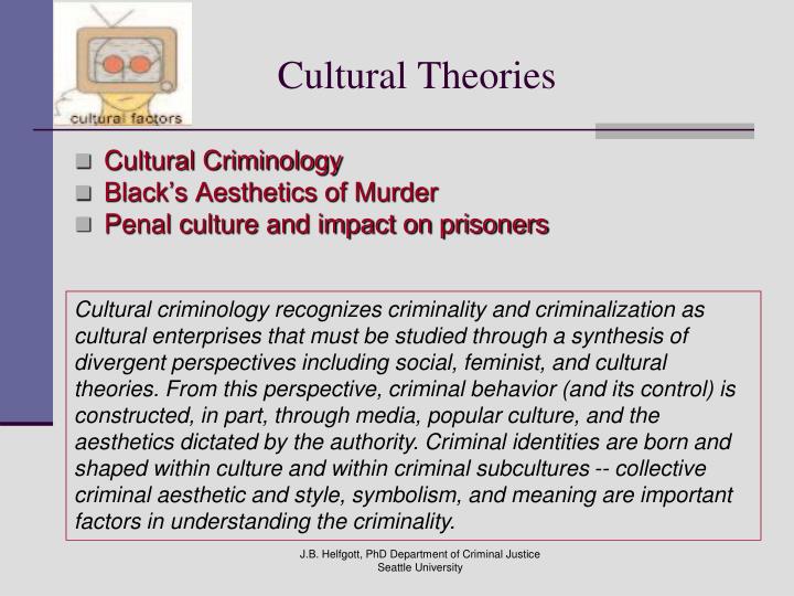 cultural criminology theories of crime