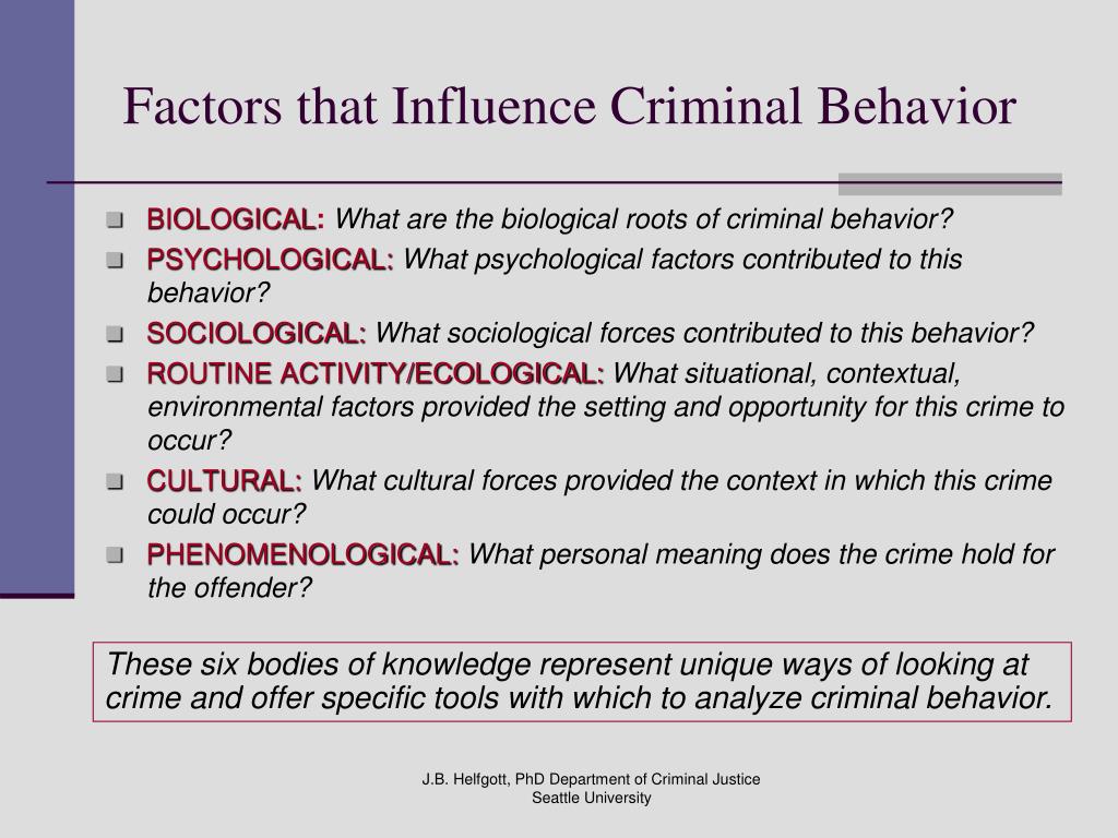 Sociological Factors Of Criminal Behavior