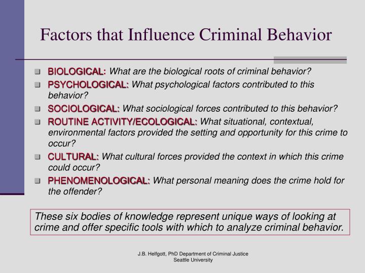 Factors That Can Influence Justice in Americal