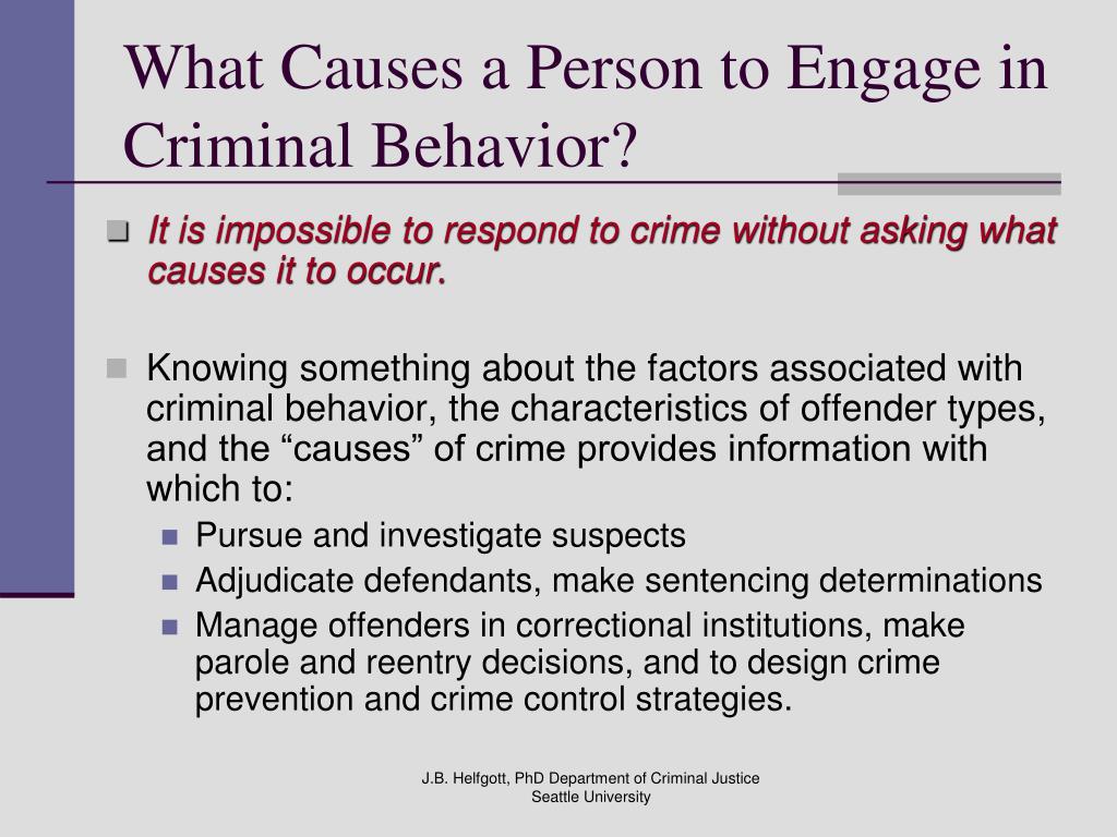 Causes Of Crime Theory Reflection