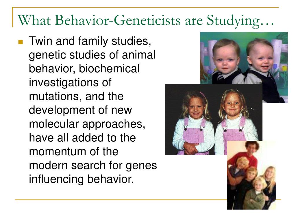 two types of research studies often used by behavioral geneticists