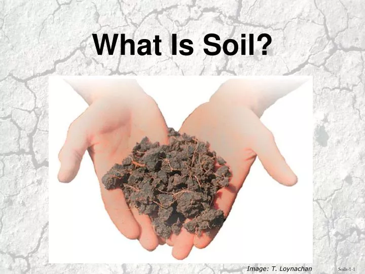 what is soil n.