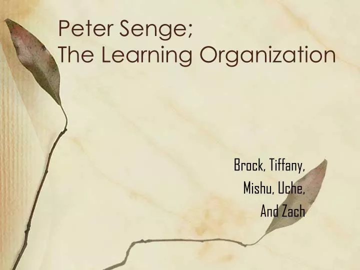 peter senge the learning organization n.