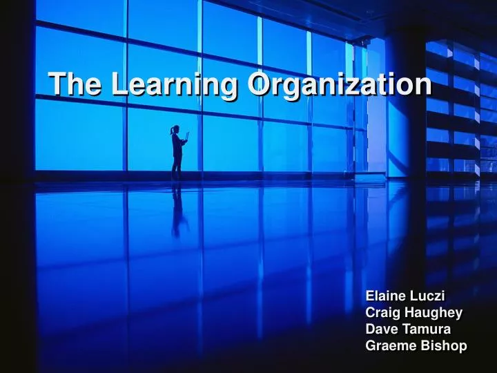 the learning organization n.